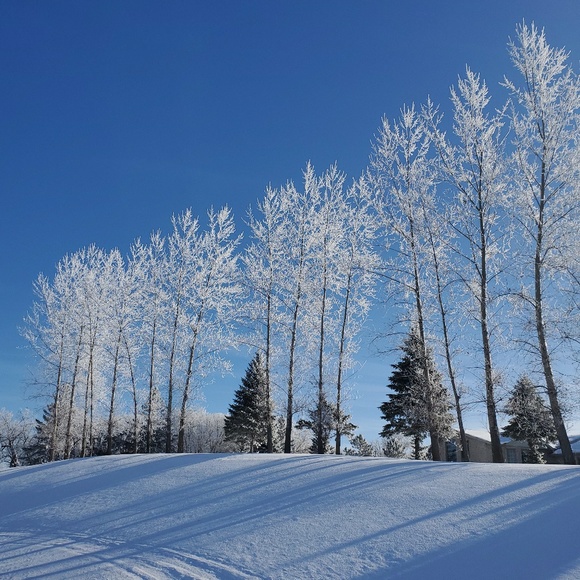 Meet your Posher, Laurel - Picture 1 of 1